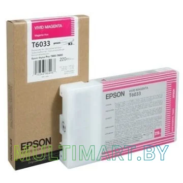Картридж Epson C13T603300 картинка 2